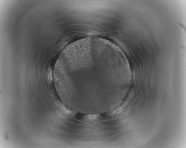 X0000095920479200802011217