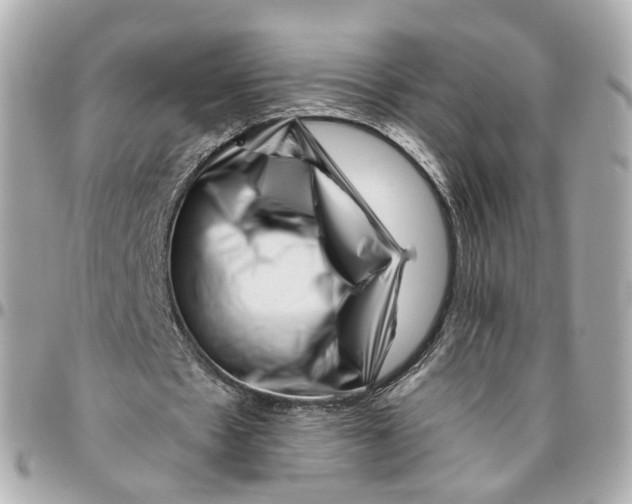 X0000095920481200802011216