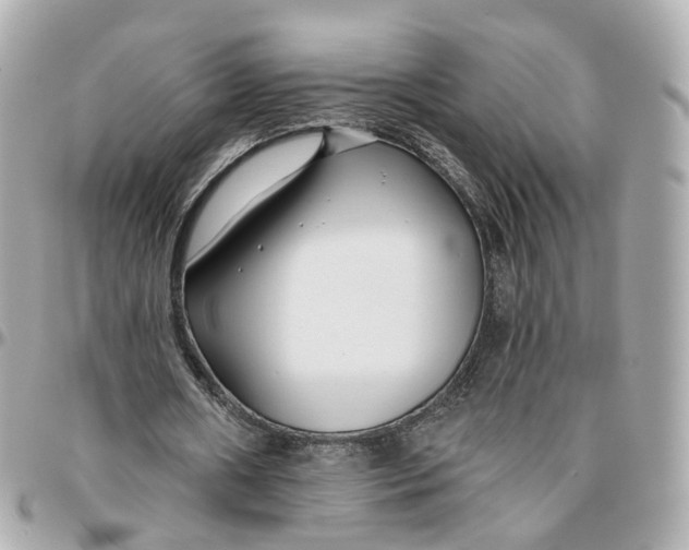 X0000095920482200802011216