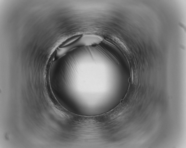 X0000095920483200802011216