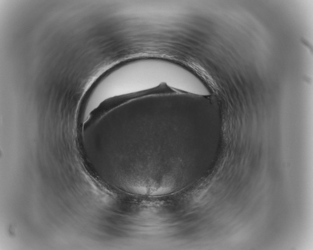 X0000095920484200802011216