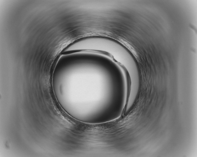 X0000095920485200802011216