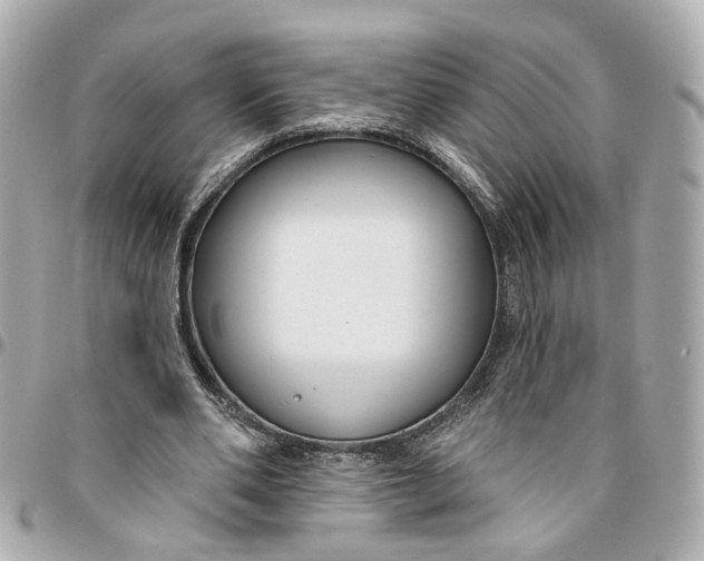 X0000095920486200802011216