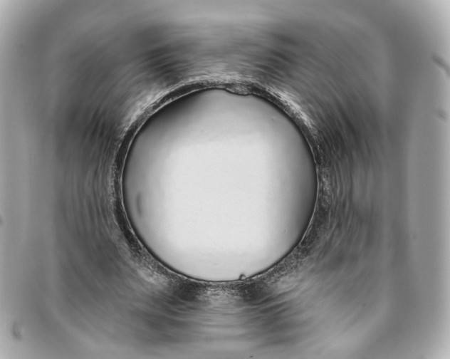 X0000095920487200802011216