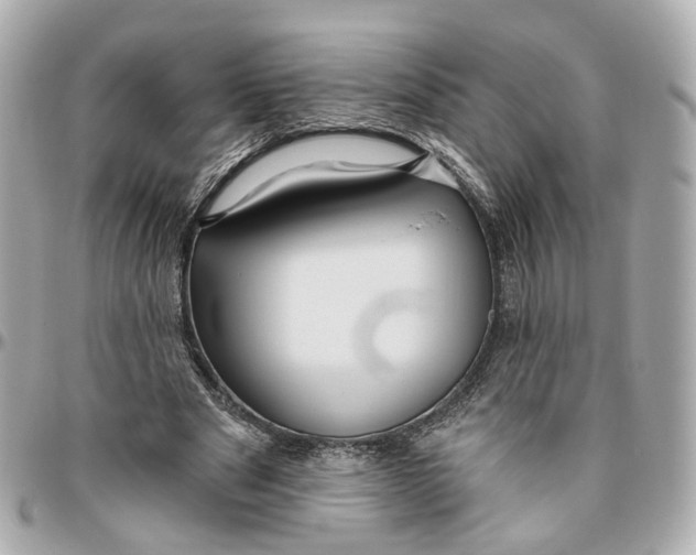 X0000095920489200802011216