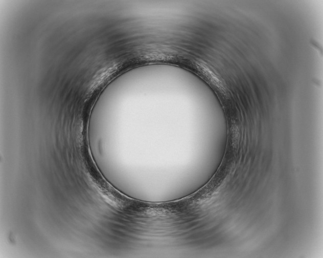 X0000095920490200802011216