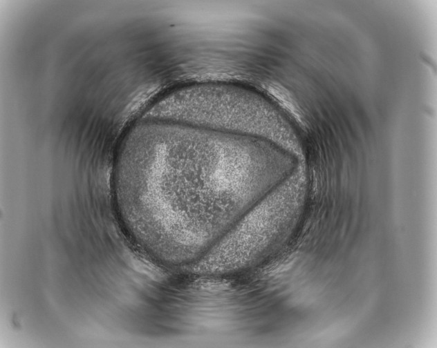 X0000095920491200802011216