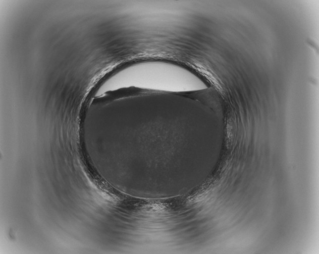 X0000095920492200802011216