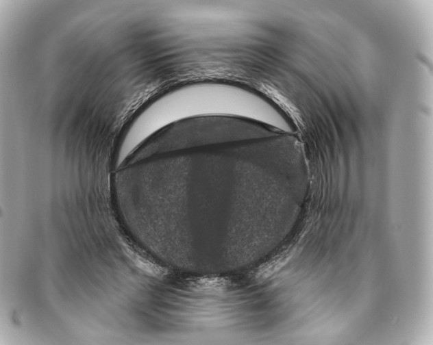 X0000095920493200802011216