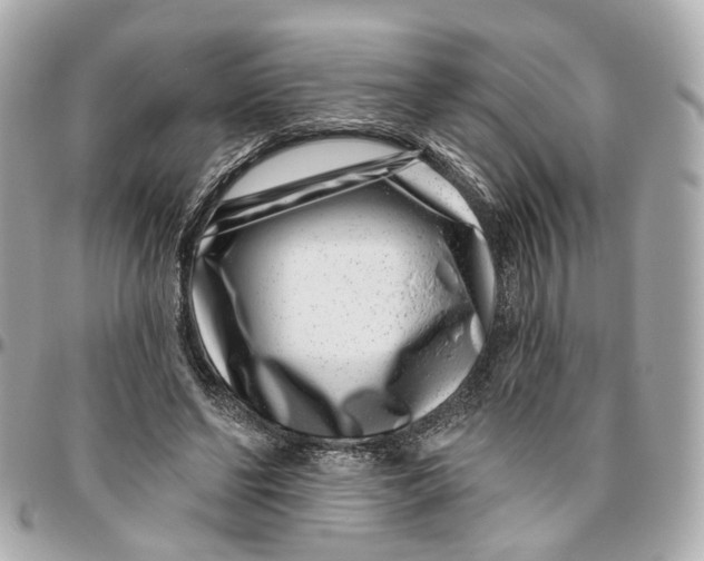 X0000095920494200802011216