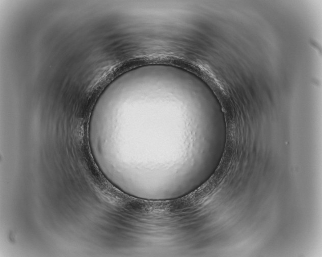 X0000095920495200802011216