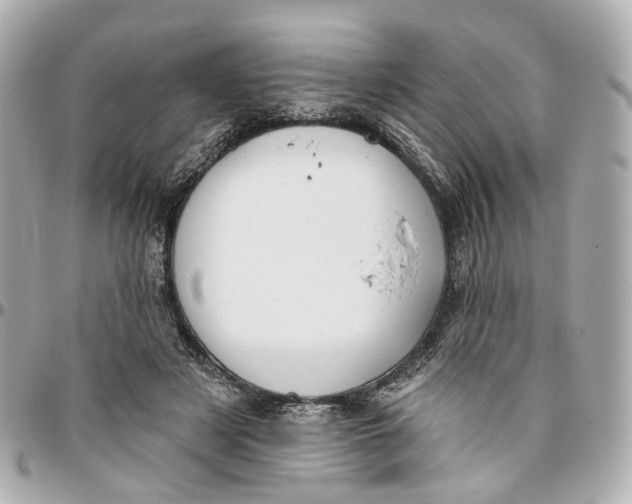 X0000095920497200802011216