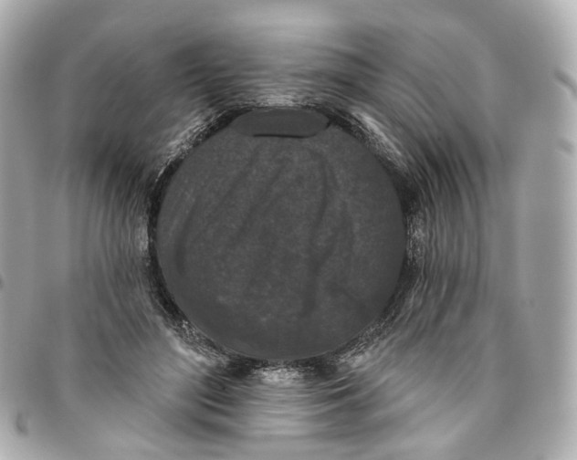 X0000095920500200802011216