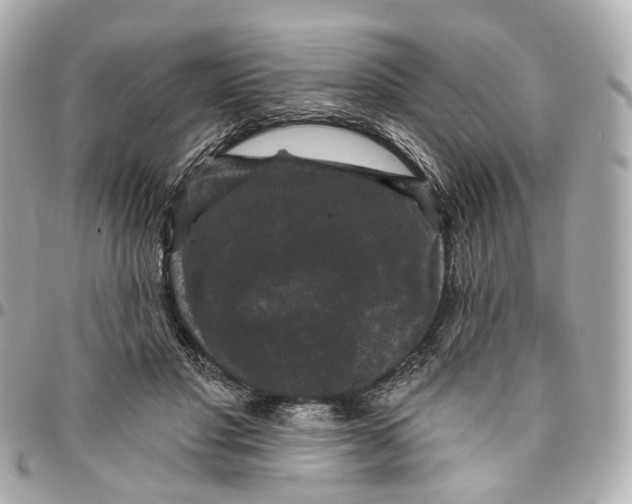 X0000095920501200802011216