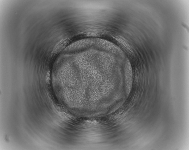 X0000095920502200802011216