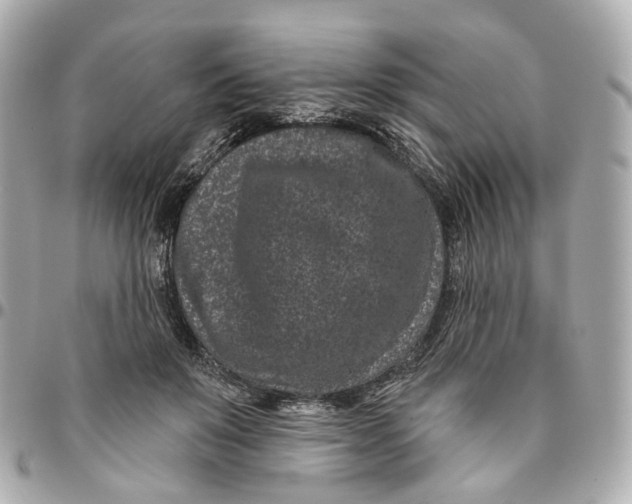 X0000095920503200802011216