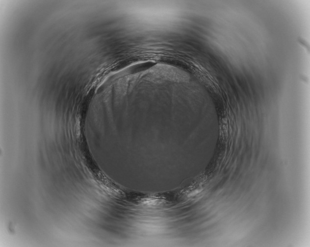 X0000095920504200802011216