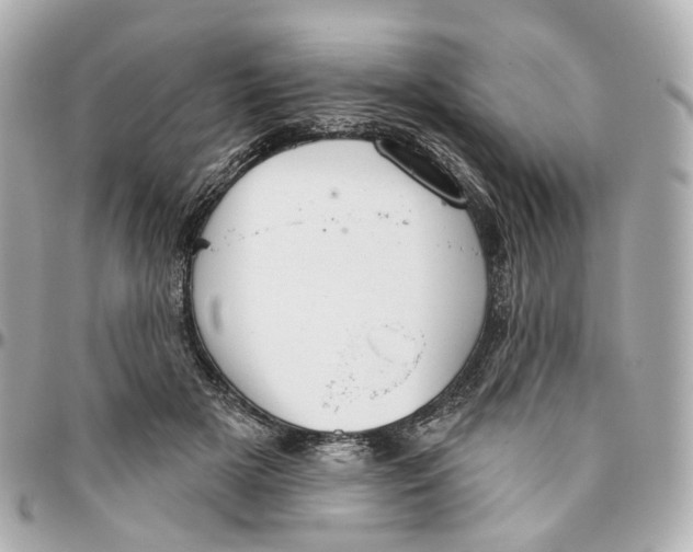 X0000095920505200802011216