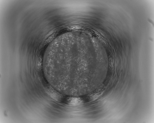 X0000095920507200802011216