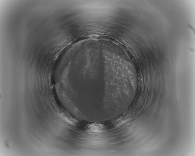 X0000095920508200802011216