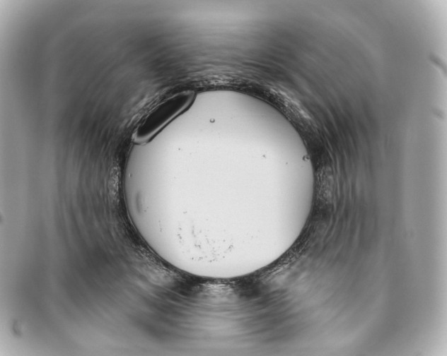 X0000095920509200802011216