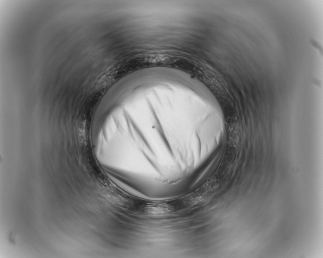 X0000095920510200802011216