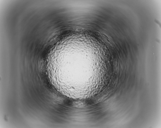 X0000095920511200802011216