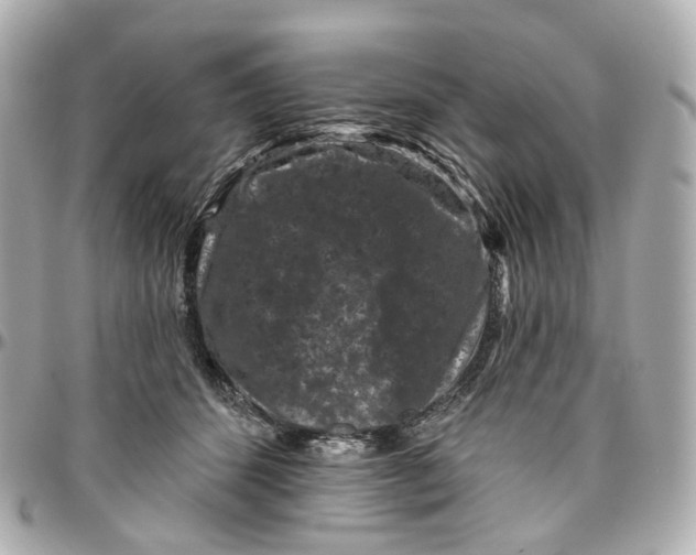 X0000095920512200802011216