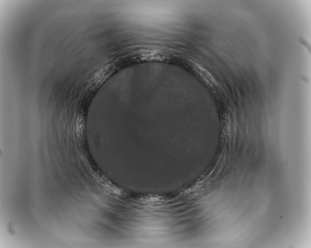 X0000095920513200802011216