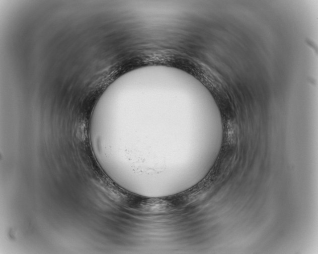 X0000095920514200802011216