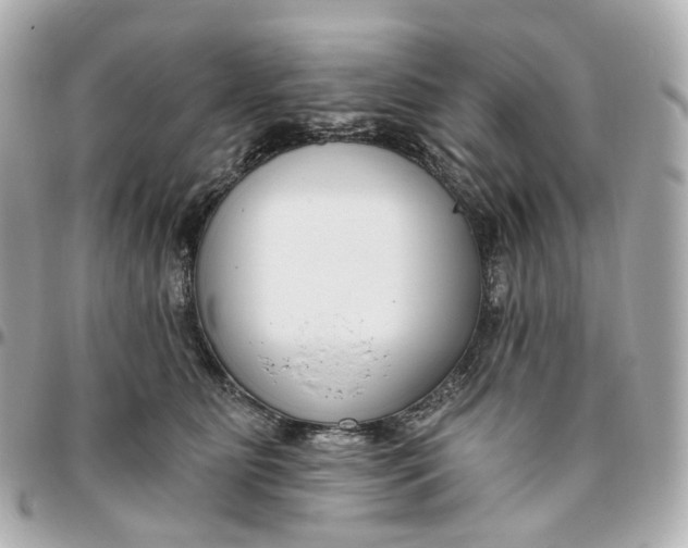 X0000095920515200802011216