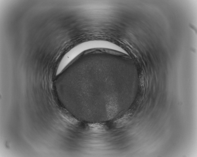 X0000095920516200802011216