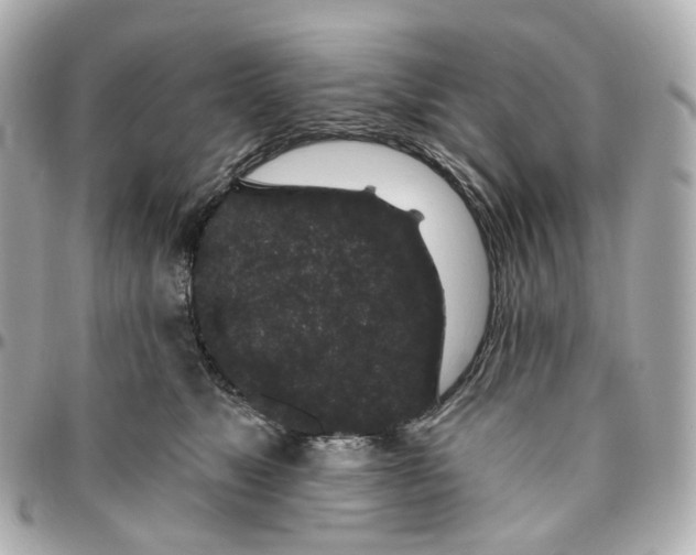 X0000095920517200802011215