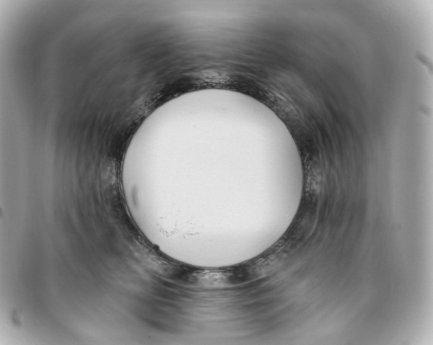 X0000095920518200802011215