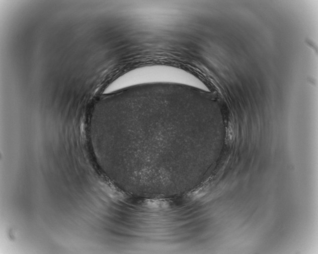 X0000095920520200802011215