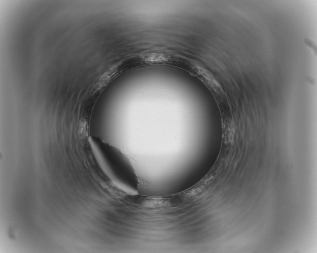 X0000095920521200802011215