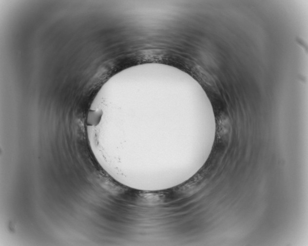 X0000095920522200802011215