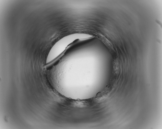 X0000095920523200802011215