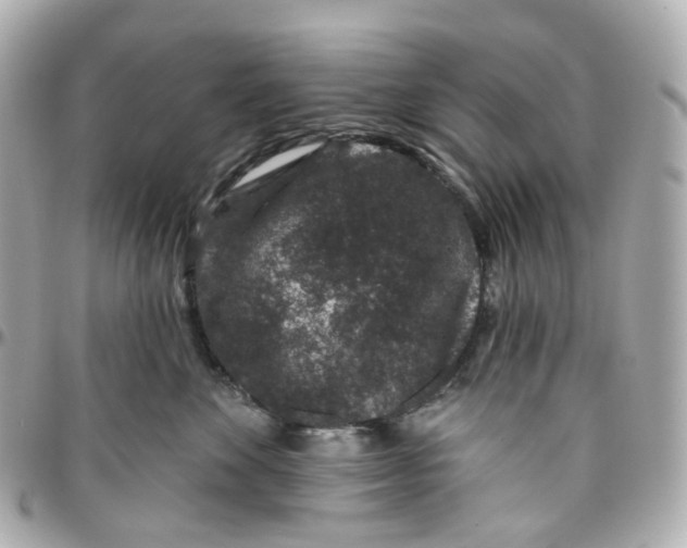 X0000095920524200802011215