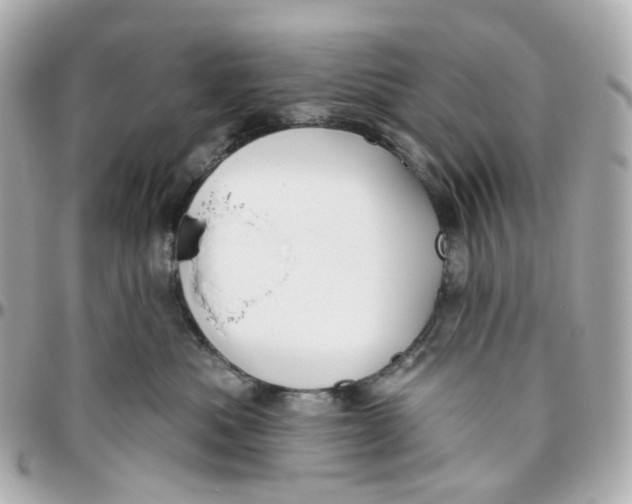 X0000095920525200802011215