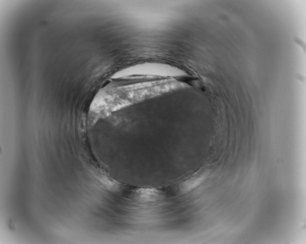 X0000095920528200802011215