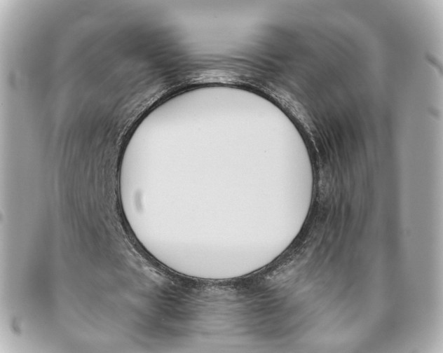 X0000095920529200802011215