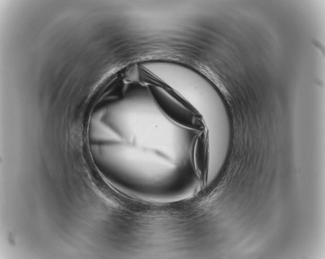 X0000095920530200802011215