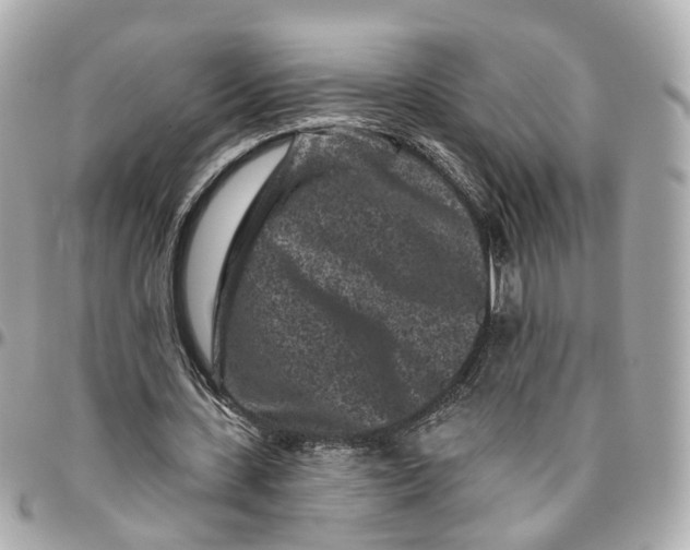 X0000095920531200802011215