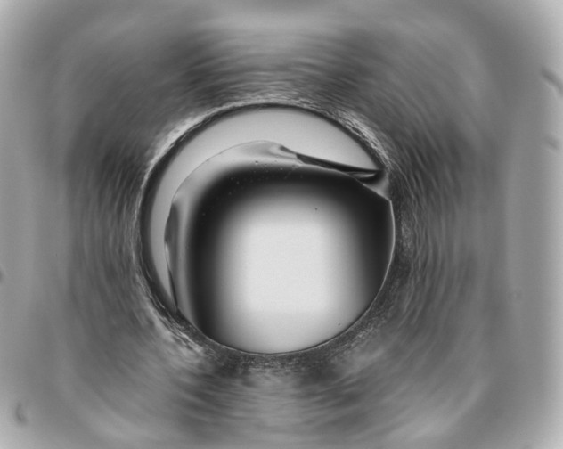 X0000095920532200802011215