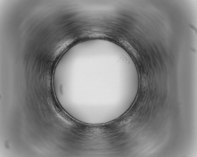 X0000095920533200802011215