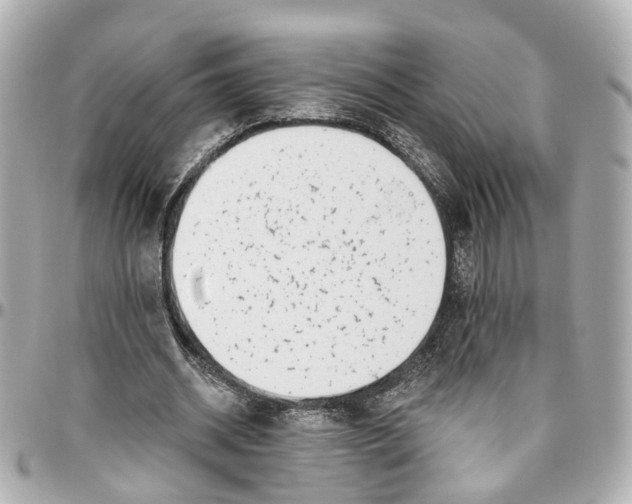 X0000095920534200802011215