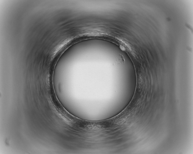 X0000095920535200802011215