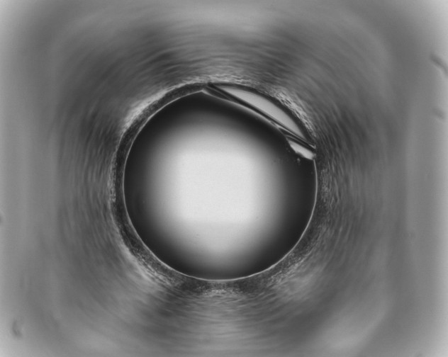 X0000095920536200802011215