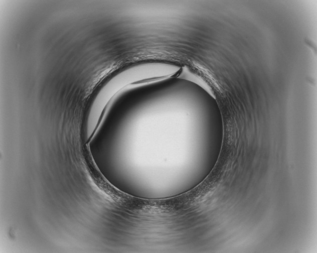 X0000095920538200802011215